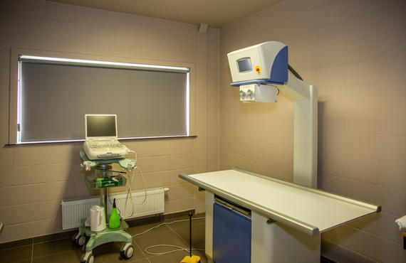 Praktivet echo en radiografie